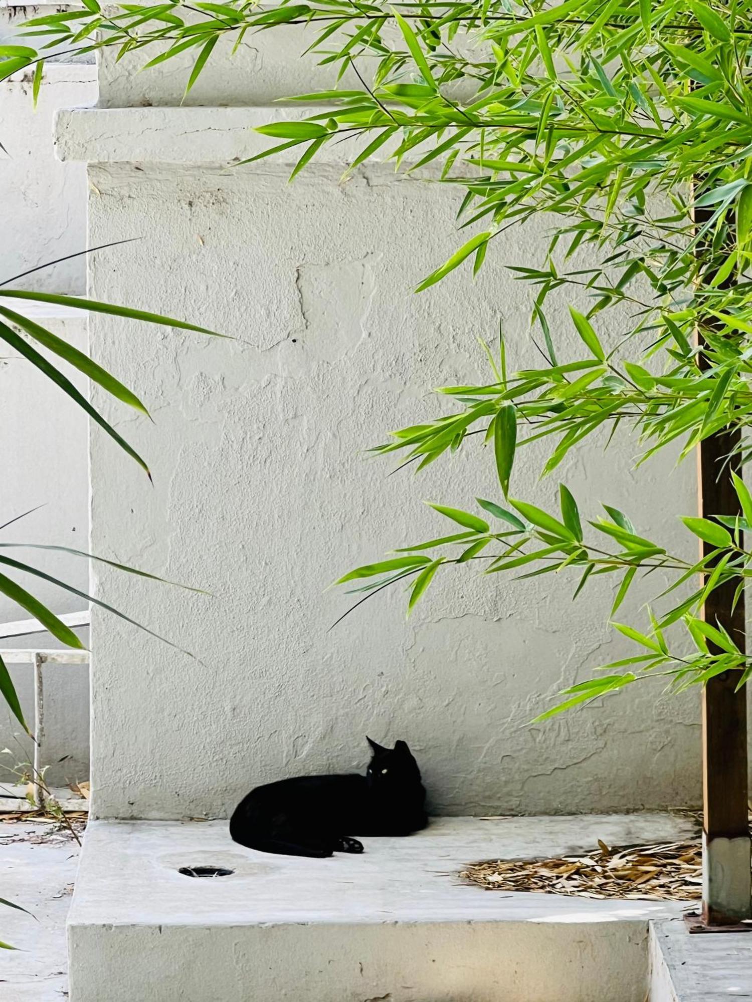 Lisbon Guests Apartments エクステリア 写真